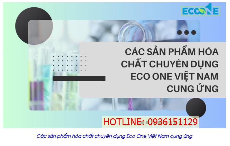 Các sản phẩm hóa chất chuyên dụng Eco One Việt Nam cung ứng